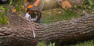 Best Aeration Services  in Walker Mill, MD