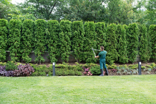 Best Commercial Tree Services  in Walker Mill, MD