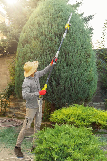 Best Lawn Watering Services  in Walker Mill, MD